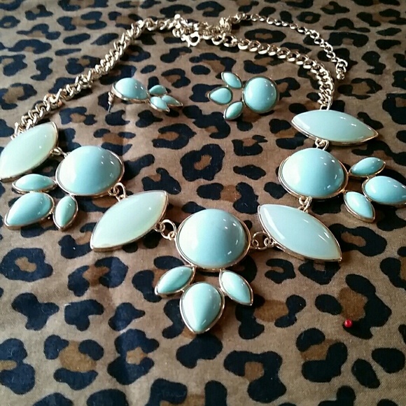 Accent necklace and ear rings