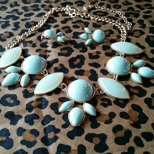 Accent necklace and ear rings