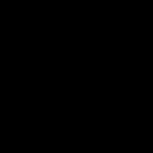 Meet your Posher, Marisol