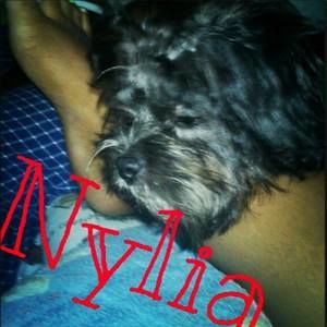 Meet your Posher, Cree'yanna