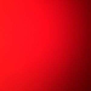 Meet your Posher, Laila