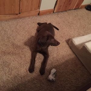 Meet your Posher, Cassie