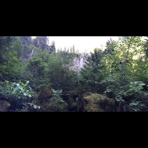 Meet your Posher, Mia - Picture 1 of 1