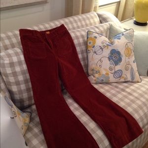 Pumpkin colored pants