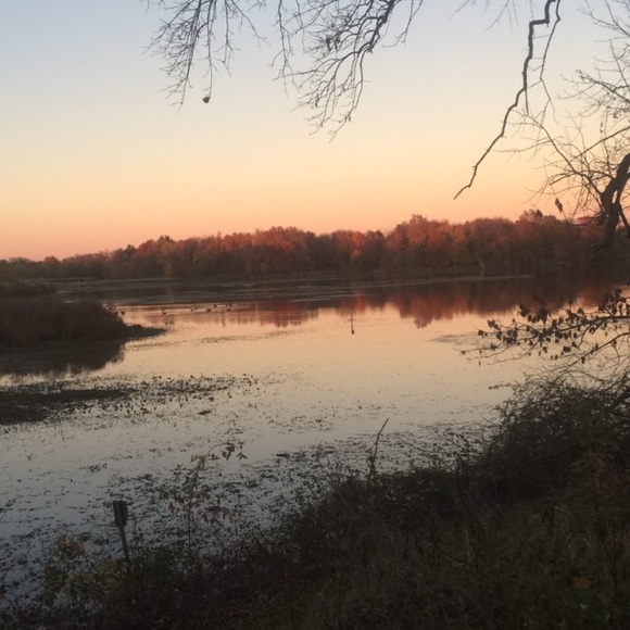 Meet your Posher, Kate - Picture 1 of 1