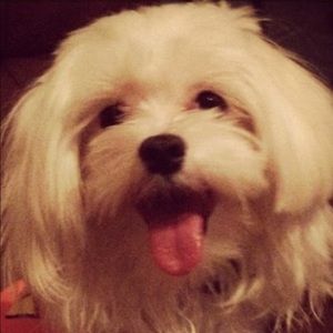 Meet your Posher, Joanne