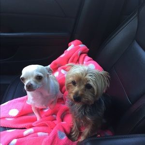 Meet your Posher, Jen