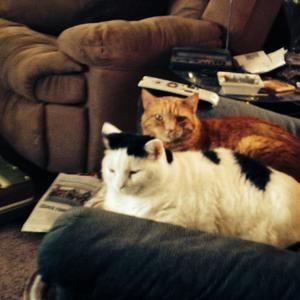 Meet your Posher, Terri