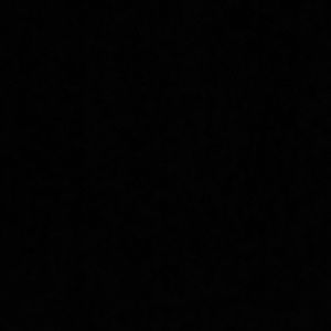 Meet your Posher, Gwen