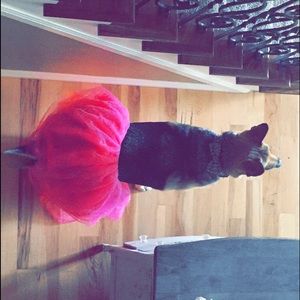 Meet your Posher, Anabelle