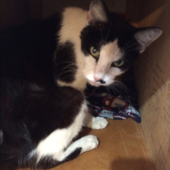 Meet your Posher, Alexandra - Picture 4 of 4