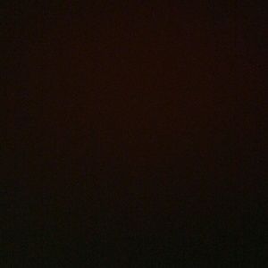 Meet your Posher, Tommy