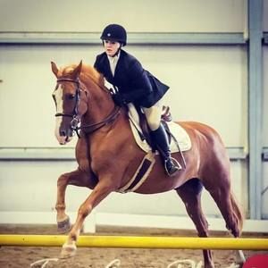 Meet your Posher, Molly