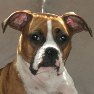 Meet your Posher, Tina