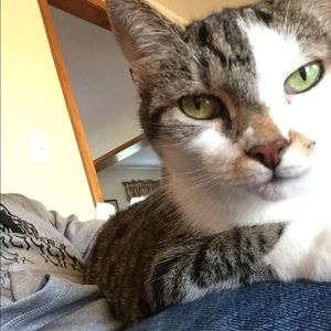 Meet your Posher, Cody