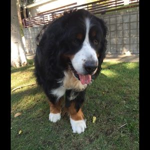 Meet your Posher, Anne