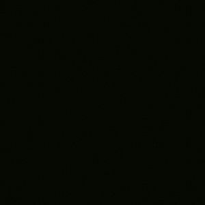 Meet your Posher, Peyton