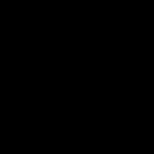 Meet your Posher, Lana