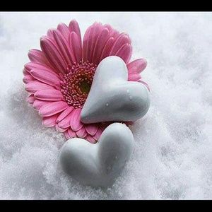 Meet your Posher, Lissa