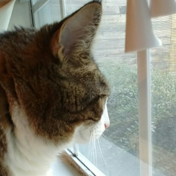 Meet your Posher, Rebecca - Picture 1 of 1