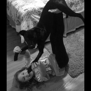 Meet your Posher, Morg