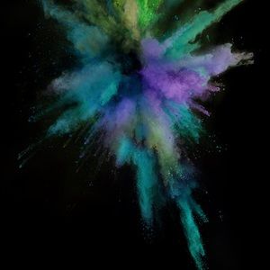 Meet your Posher, Curtis