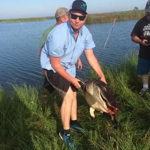 Meet your Posher, Wyatt