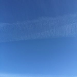 Meet your Posher, Rasha