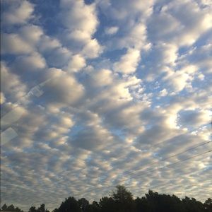 Meet your Posher, Angelique