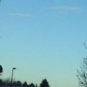 Meet your Posher, Kitty