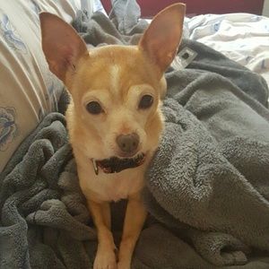 Meet your Posher, Michele