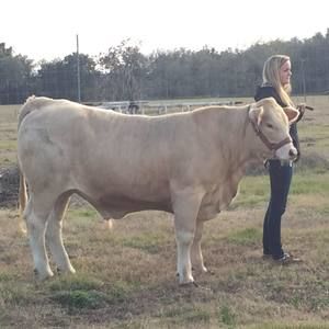 Meet your Posher, Kim