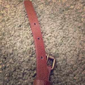 Thin Brown Belt