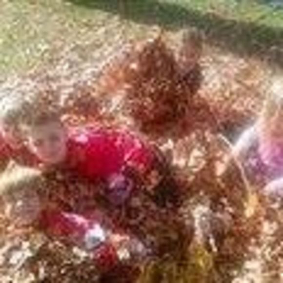 Meet your Posher, Collin - Picture 1 of 1