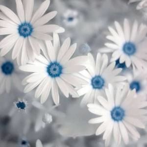 Meet your Posher, Jami