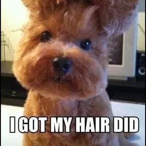 Meet your Posher, Melanie