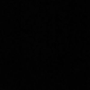 Meet your Posher, Shelby