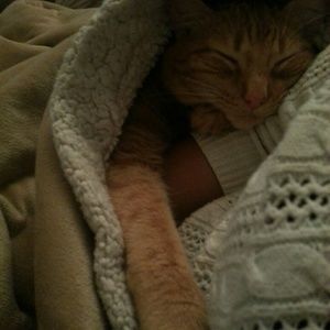 Meet your Posher, Kiera