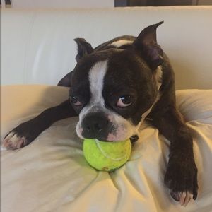 Meet your Posher, Michel