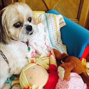 Meet your Posher, Maria