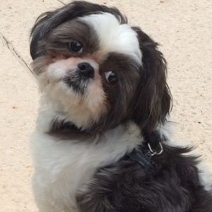 Meet your Posher, Tatiana