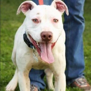 Meet your Posher, Jackie