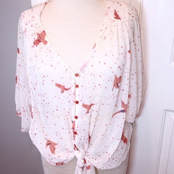 Potter's Pot Tops - SALE!! sheer tie front blouse Potter's Pot Tops - SALE!! sheer tie front blouse