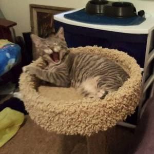 Meet your Posher, Sara