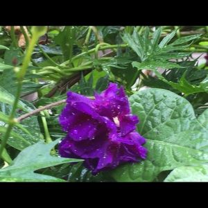 Meet your Posher, Gay