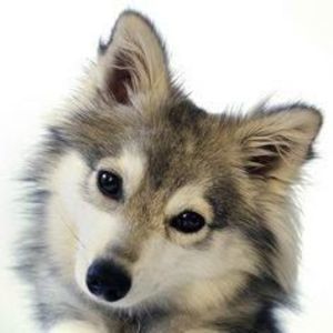 Meet your Posher, Jade