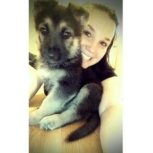 Meet your Posher, Casey