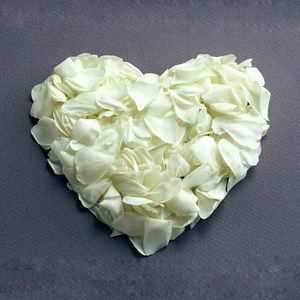 Meet your Posher, Bethanie