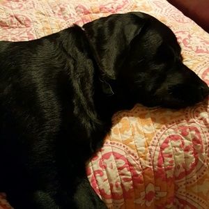 Meet your Posher, Jeannine