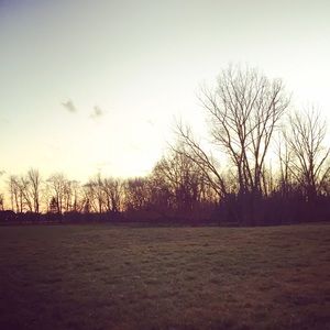 Meet your Posher, Jacenta